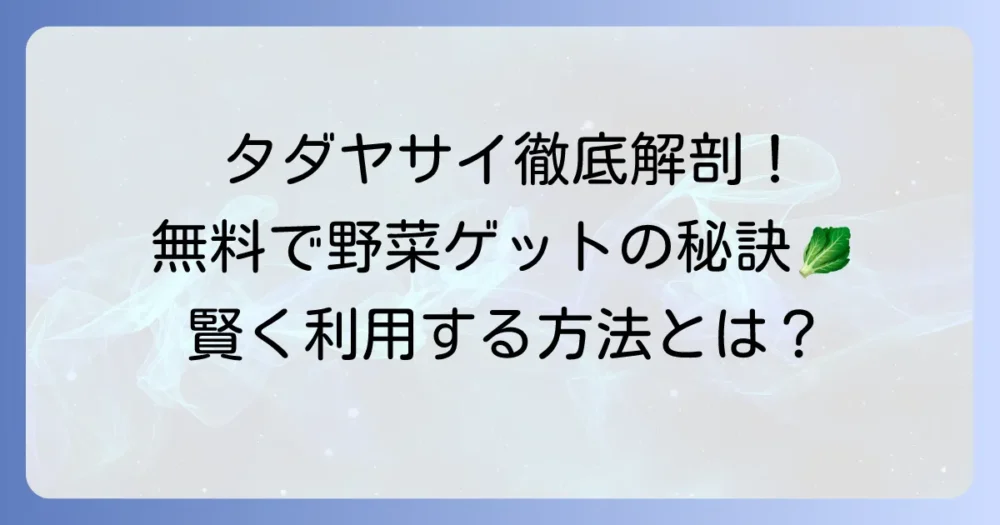 タダヤサイの仕組みを徹底解説！無料で野菜が手に入る秘密と利用方法