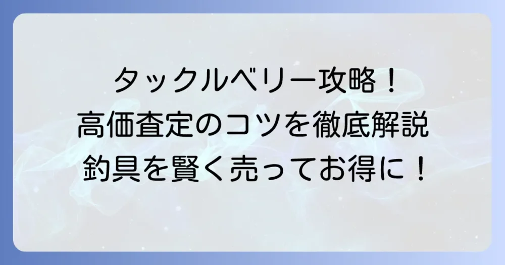 タックルベリー買取持ち込みで失敗しない！高価査定のコツと準備を徹底解説