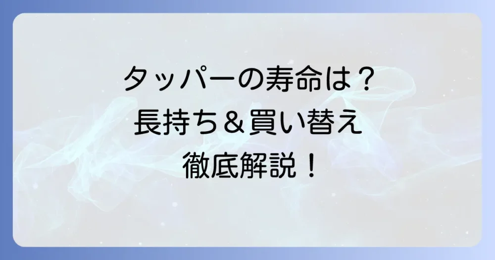 タッパーウェアの寿命はどれくらい？長持ちさせるコツと買い替え時期を徹底解説