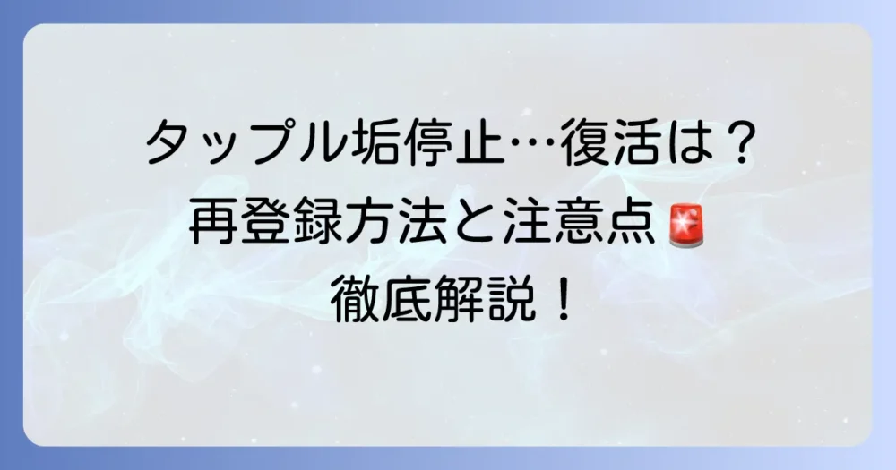 タップルアカウント停止後の再登録は可能？復活方法と注意点を徹底解説