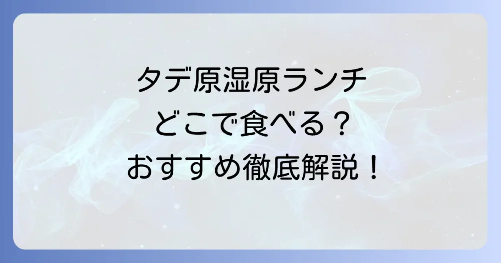 タデ原湿原でのランチを徹底解説！周辺のおすすめ食事処と持ち込みのコツ