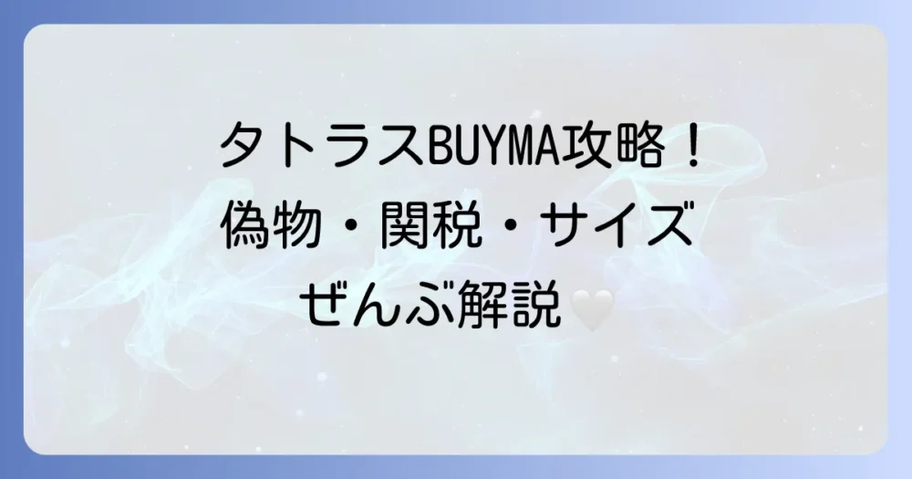 タトラスバイマで後悔しない！偽物対策から関税・サイズ感まで徹底解説