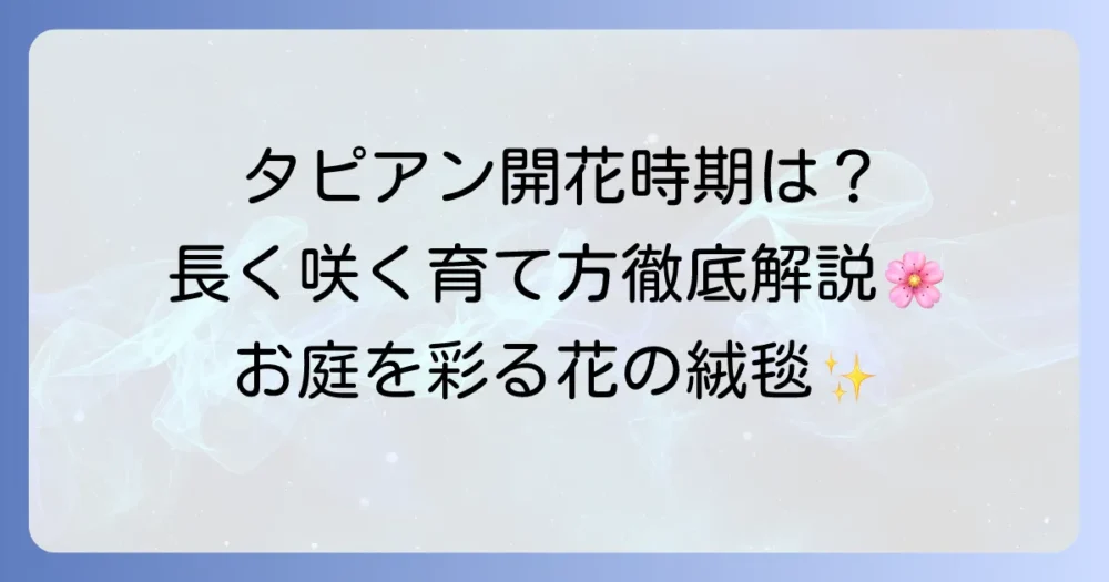 タピアンの開花時期を徹底解説！長く美しい花を楽しむための育て方