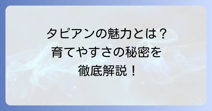タピアンとは？魅力と基本情報を知ろう