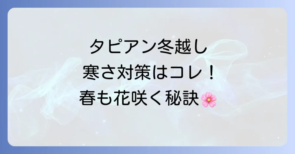 タピアンの地植え冬越しを成功させるコツ！寒さから守る対策と管理方法