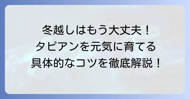 タピアン地植え冬越しを成功させるための具体的な対策