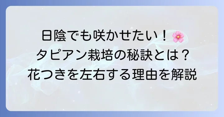 タピアンは日陰でも育つ？日当たりが花つきを左右する理由
