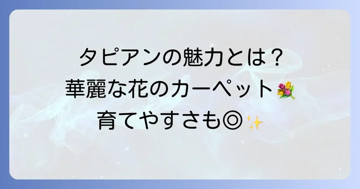 タピアンの基本情報と魅力