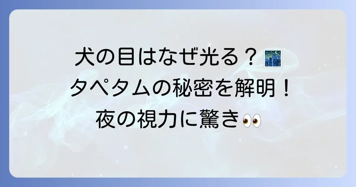 犬のタペタムとは？その基本的な役割を理解しよう