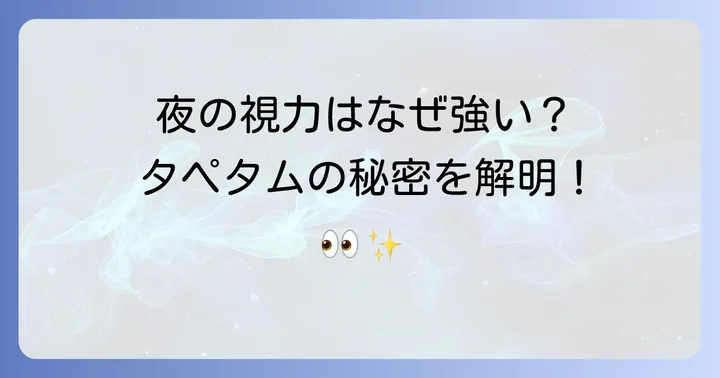 犬の優れた夜間視力はタペタムが鍵