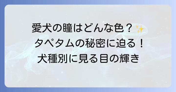 タペタムの色と犬種による違い