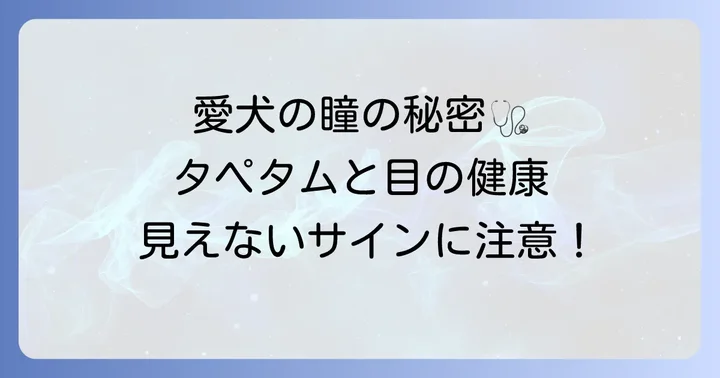 犬の目の健康とタペタム