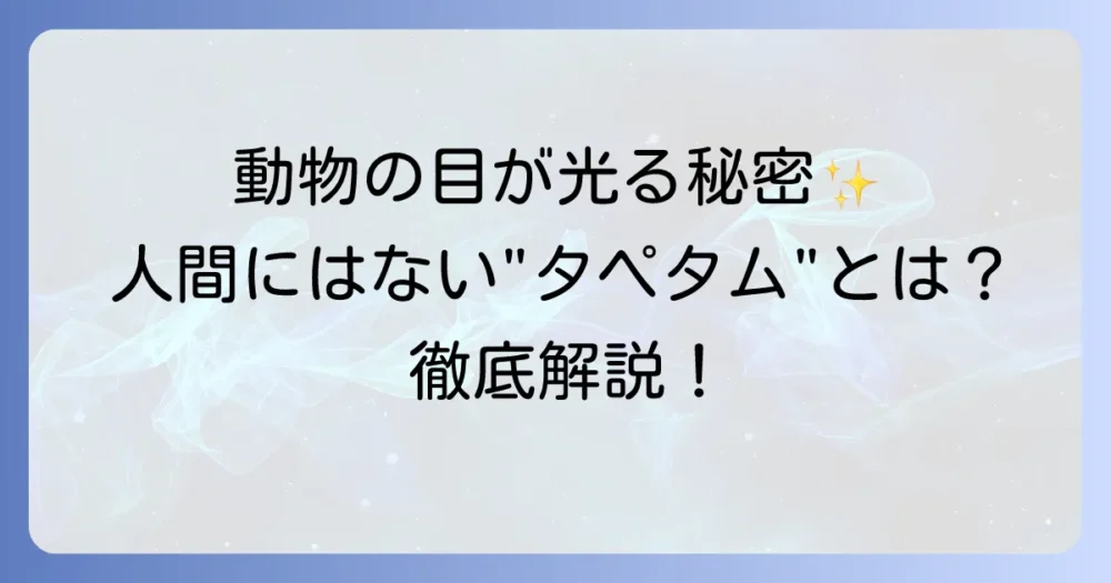 タペタムは人間にない？動物の目が光る理由と視覚の秘密を徹底解説