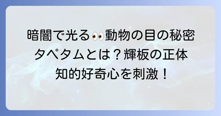 タペタムとは？動物の目が暗闇で光る「輝板」の正体