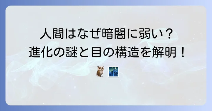 なぜ人間にタペタムはないのか？進化と視覚の違い