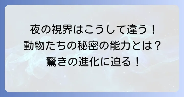 タペタムがもたらす動物の驚くべき視覚能力