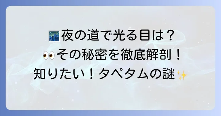タペタムに関するよくある質問