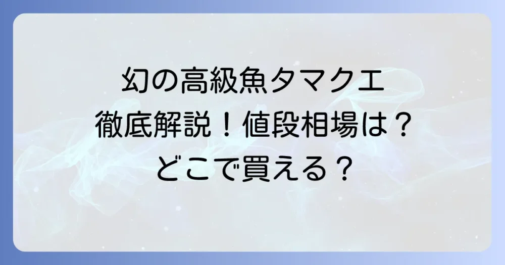 タマクエの値段相場と購入方法｜幻の高級魚の魅力を徹底解説
