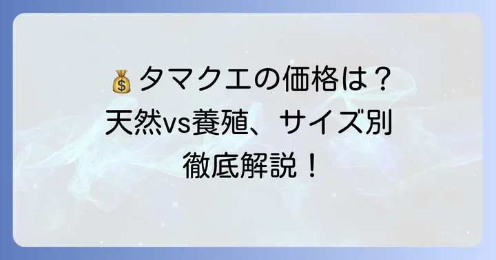 タマクエの値段相場を徹底調査！天然と養殖、サイズ別の価格
