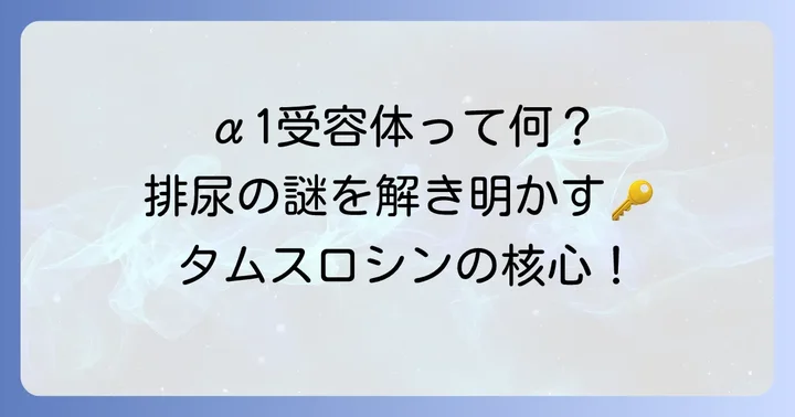 タムスロシン作用機序の核心！α1受容体遮断のメカニズム