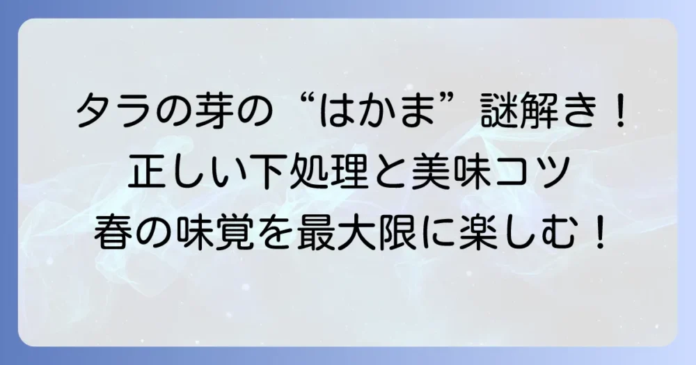 タラの芽の「はかま」の疑問を解決！正しい下処理と美味しく食べるコツを徹底解説