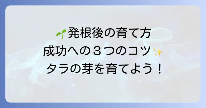 タラの芽挿し木後の管理と成功するためのコツ