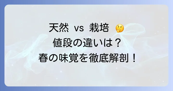 タラの芽の値段相場を種類別に詳しく解説