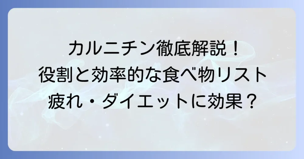 カルニチンが豊富な食べ物一覧！効率的な摂取方法と役割を徹底解説