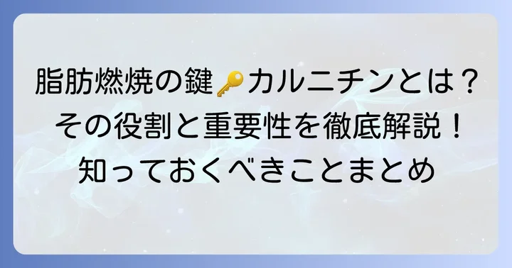 カルニチンとは？その基本的な役割と重要性