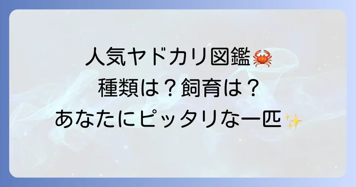 ペットとして人気のヤドカリの種類