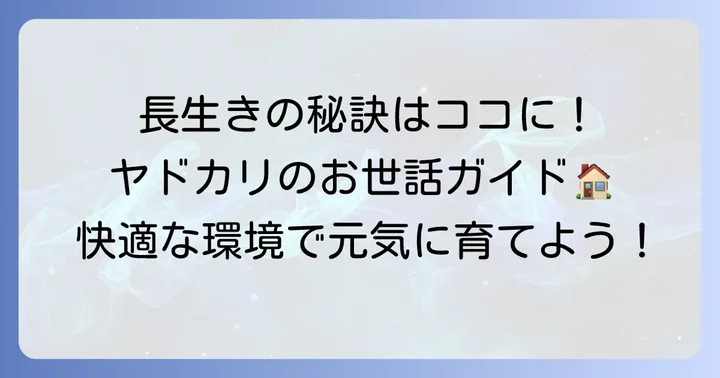 ヤドカリの飼育方法と長生きさせるコツ