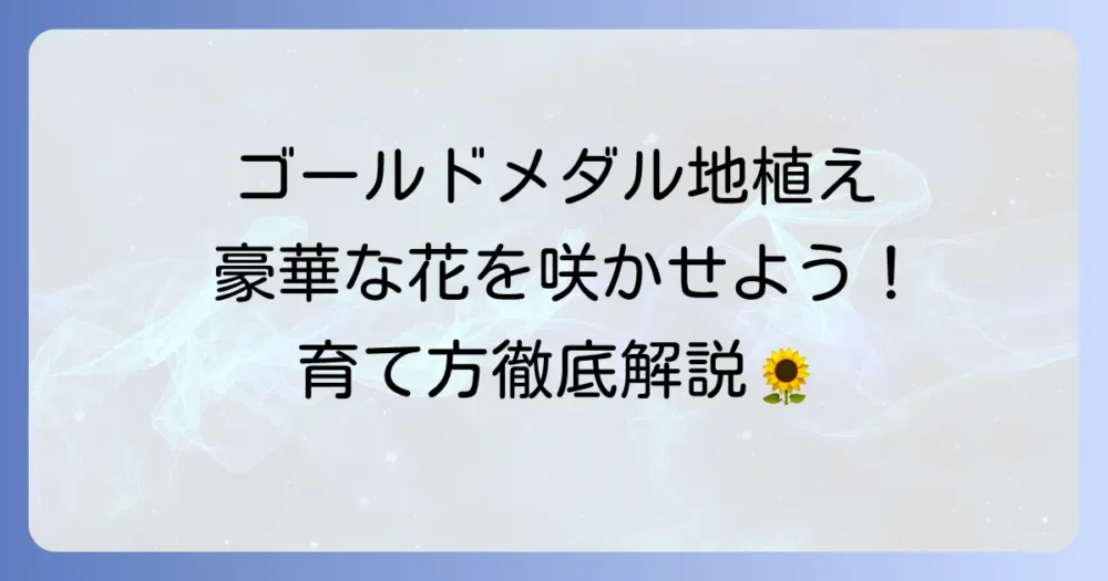 タゲテスゴールドメダル地植え成功のコツ：豪華な花を咲かせる育て方を徹底解説