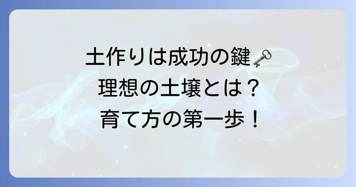 地植えを成功させるための準備と土作り
