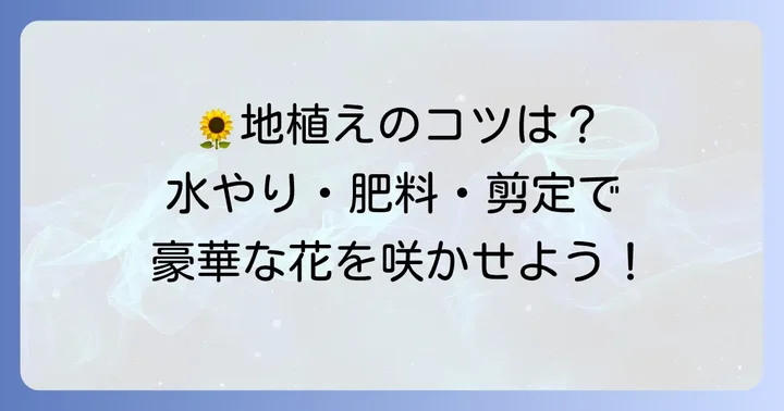 タゲテスゴールドメダル地植えの基本的な育て方