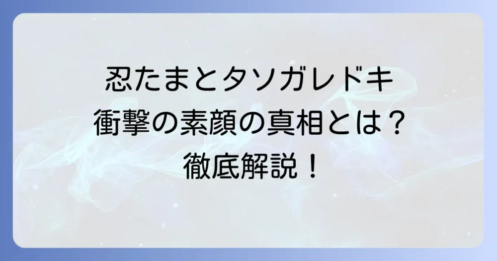 「忍たま乱太郎」タソガレドキ忍者の素顔は明かされている？主要メンバーの顔と謎を徹底解説