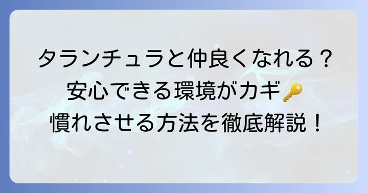 タランチュラを飼い主になつかせる（慣れさせる）ための具体的な方法