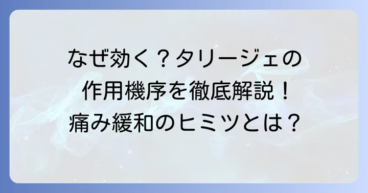 タリージェの作用機序｜なぜ神経の痛みに効くのか