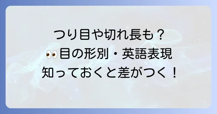 「タレ目」と対照的な目の形、関連する表現