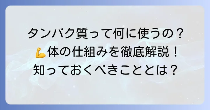 タンパク質は体に不可欠な栄養素！その役割を再確認