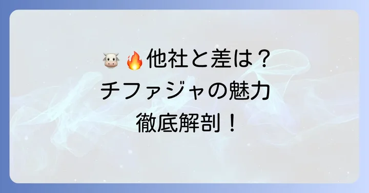 競合他社との比較!チファジャの魅力とは?