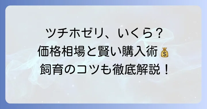 観賞魚としてのツチホゼリの値段相場と購入方法