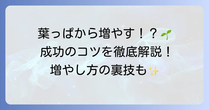 ツメレンゲの増やし方：葉挿しで増やす方法