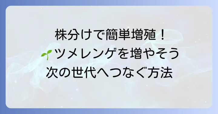 ツメレンゲの増やし方：株分けで増やす方法