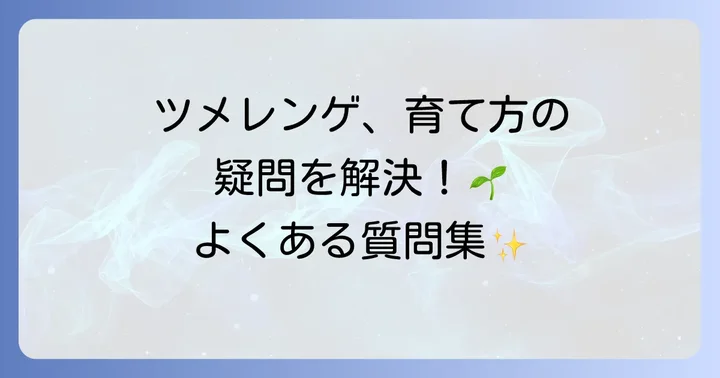 よくある質問