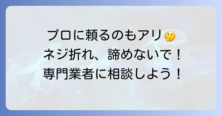 自力での解決が難しいと感じたら専門業者への依頼も検討しよう