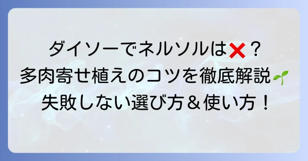 ネルソルはダイソーで買える？特徴と購入先、多肉植物寄せ植えのコツを徹底解説