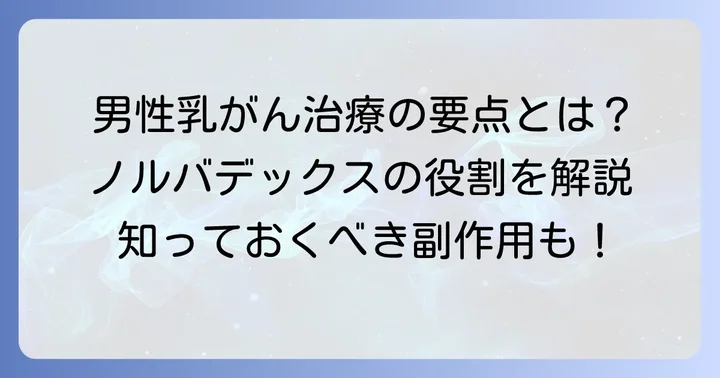 ノルバデックスとは?男性における基本的な役割