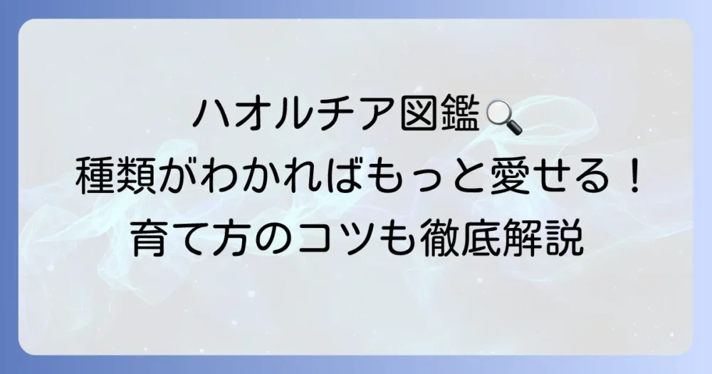 ハオルチアの種類がわからない時の見分け方と育て方のコツを徹底解説