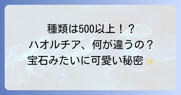 ハオルチアの魅力と種類がわからないと感じる理由