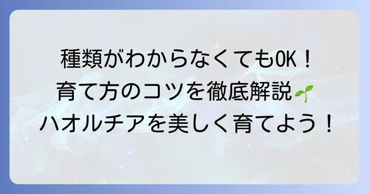 種類がわからなくても大丈夫！ハオルチアの育て方のコツ